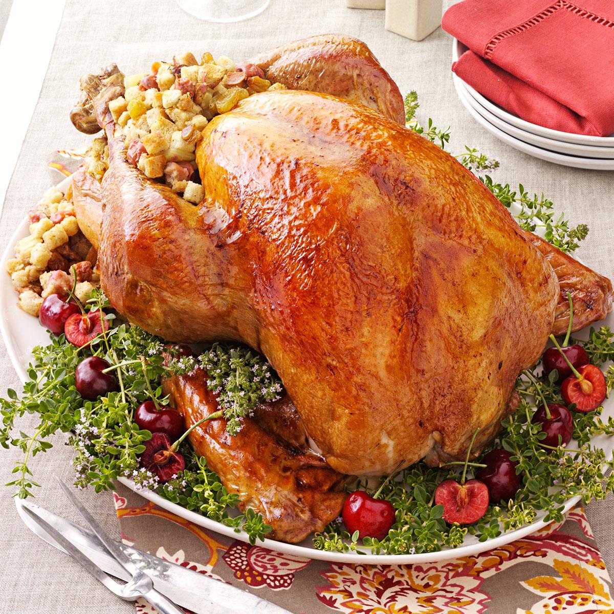 Turkey with Cherry Stuffing Recipe | Taste of Home