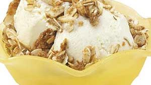 Low Fat Vanilla Ice Cream Recipe How To Make It Taste Of Home