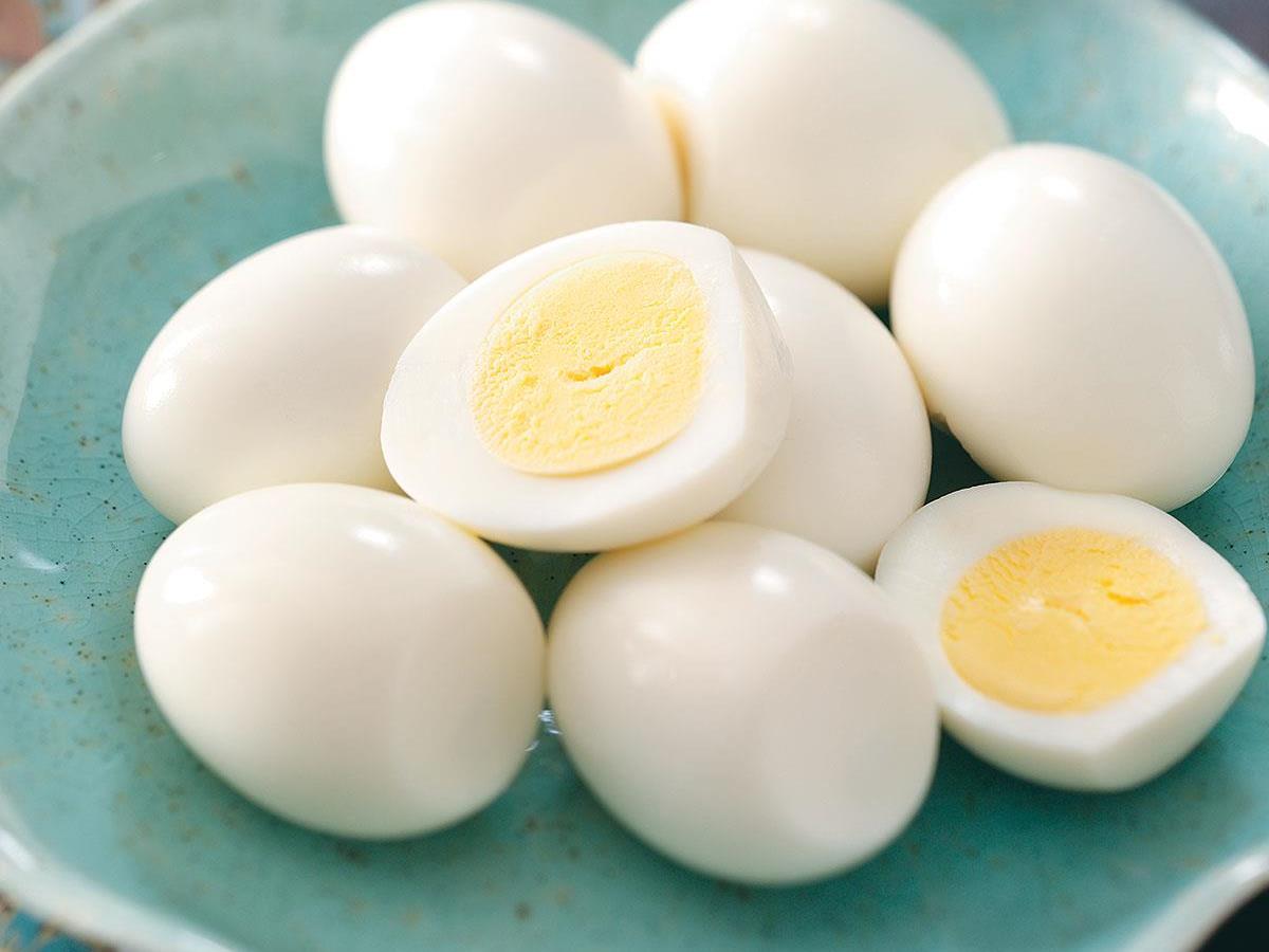 Image result for egg