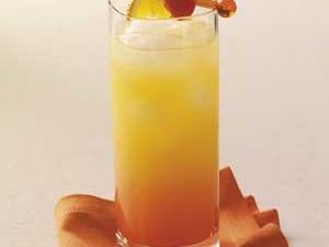 Tequila Sunrise Recipe Taste Of Home,Agave Plant Care